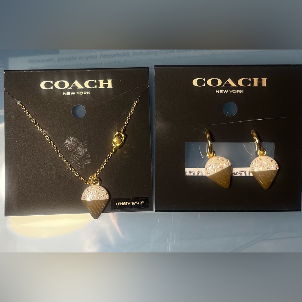 Coach earrings and necklace snow cone set.